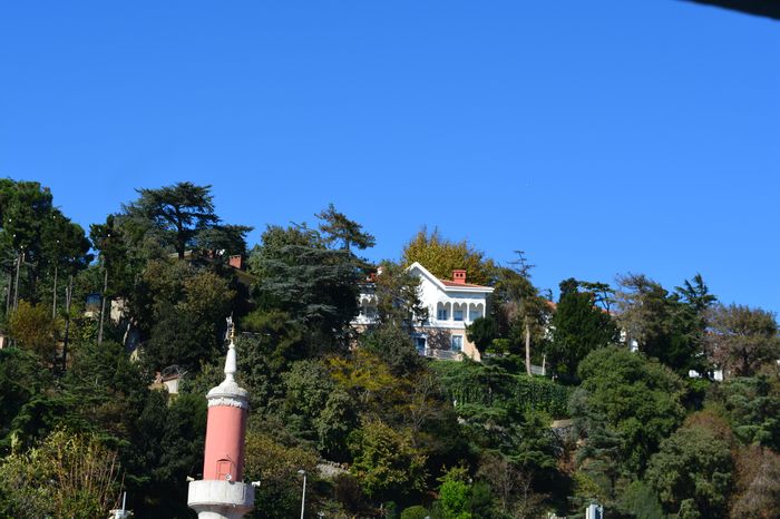 Theodora have a son named Constantine