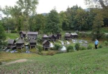 The Dogs and Firemen of Constantinople