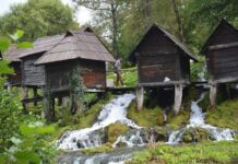 Valens and the Development of the Harbour of the Hebdomon